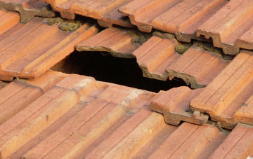 roof repair Withycombe, Somerset