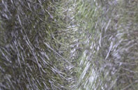 Withycombe fibreglass roof work